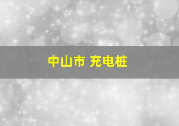 中山市 充电桩